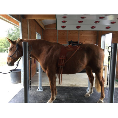 Delta Diam 12 - Suelo de goma remolque y furgoneta