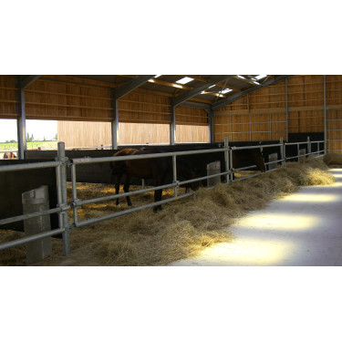 Goma MC 2000 protección box Confort Cheval