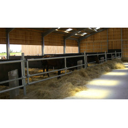 Goma MC 3000 protección box Confort Cheval Goma MC 3000 protección box Confort Cheval