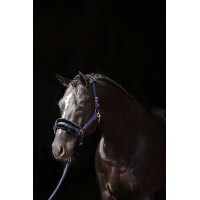 Cabezada de cuadra Classic Soft Covalliero Azul marino