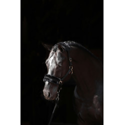 Cabezada de cuadra Classic Soft Covalliero Negro