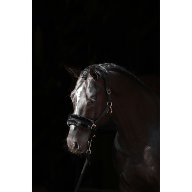Cabezada de cuadra Classic Soft Covalliero Negro