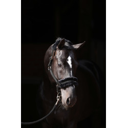 Cabezada de cuadra Classic Soft Covalliero Negro