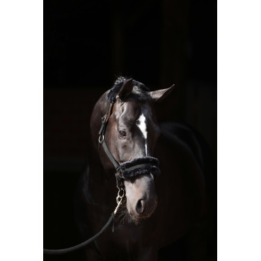 Cabezada de cuadra Classic Soft Covalliero Negro