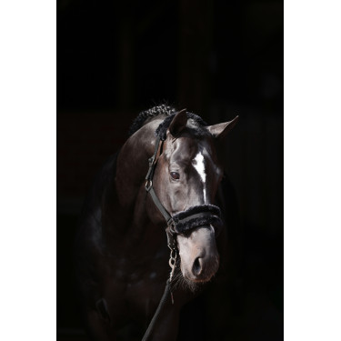 Cabezada de cuadra Classic Soft Covalliero Negro