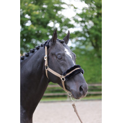 Cabezada de cuadra Classic Soft Covalliero Cabezada de cuadra Classic Soft Covalliero