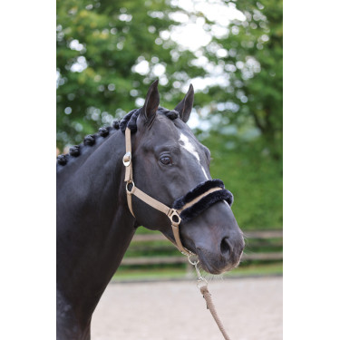 Cabezada de cuadra Classic Soft Covalliero Cabezada de cuadra Classic Soft Covalliero
