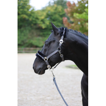 Cabezada de cuadra Classic Soft Covalliero Piedra Gris