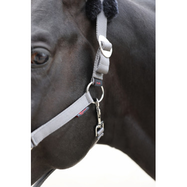 Cabezada de cuadra Classic Soft Covalliero Piedra Gris