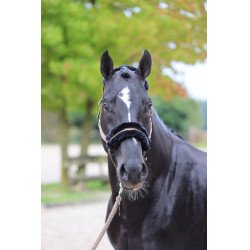 Cabezada de cuadra Classic Soft Covalliero Cabezada de cuadra Classic Soft Covalliero