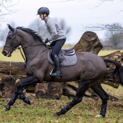 Mantilla LeMieux Self-Cool Close Contact Gris