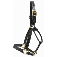 Cabestro de cuero T de T Refuerzo de nailon cosido por triplicado Negro