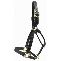 Cabestro de cuero T de T Refuerzo de nailon cosido por triplicado Negro