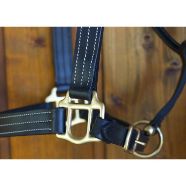 Cabestro de cuero T de T Refuerzo de nailon cosido por triplicado Negro