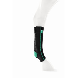 Equicrown Active Equicrown Active