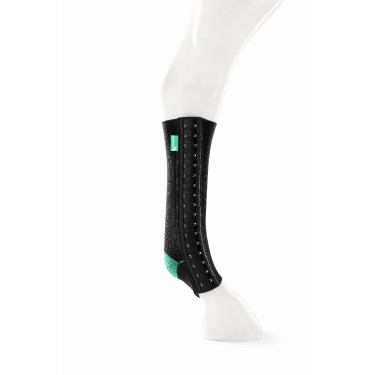 Equicrown Fit Equicrown Fit