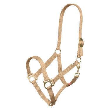 Cabestro Imperial Equitación Económico Beige Arena