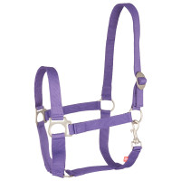 Cabestro Imperial Equitación Económico Púrpura Real Violeta