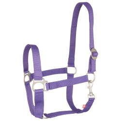 Cabestro Imperial Equitación Económico Púrpura Real Violeta