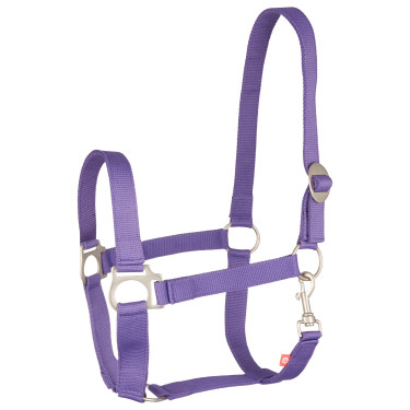Cabestro Imperial Equitación Económico Púrpura Real Violeta