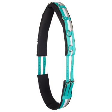 Cinchuelo de trabajo de nylon Imperial Riding Deluxe Cinchuelo de trabajo de nylon Imperial Riding Deluxe