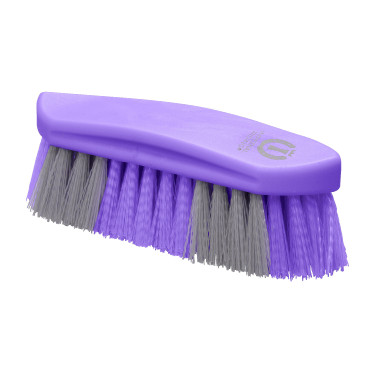 Cepillo duro Dandy 2 colores grande Imperial Riding Púrpura Real Violeta