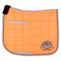 Mantilla Imperial Riding Ride and Shine DR Rosa neón / gris