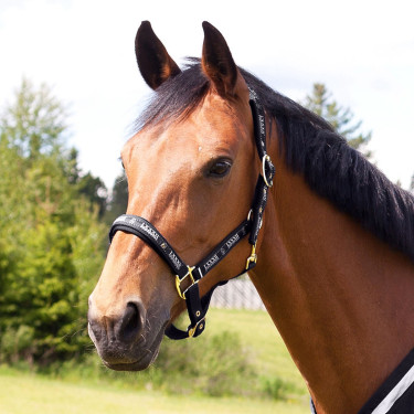 Cabezada Hamptons Horze Negro Cabezada Hamptons Horze Negro