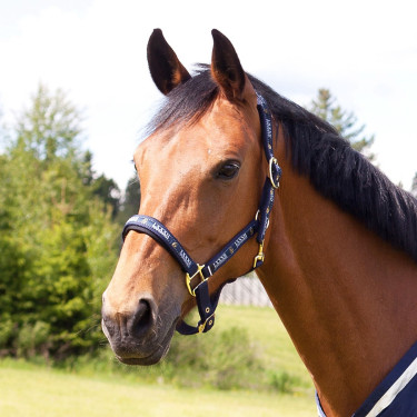 Cabezada Hamptons Horze Azul