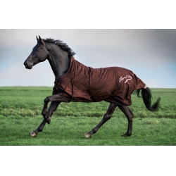 Manta de paddock Imperial Riding Super-dry 400gr Avellana Marrón Manta de paddock Imperial Riding Super-dry 400gr Avellana Marrón