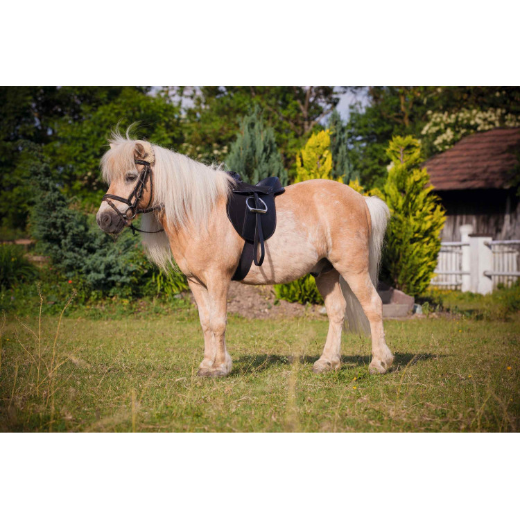 Silla poní Eco Kerbl