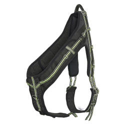 Cinchuelo de trabajo Imperial Riding Nova Cinchuelo de trabajo Imperial Riding Nova
