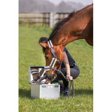 Caja de aseo brillante de equitación imperial Plata