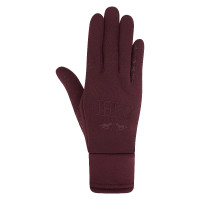 Guantes de polo de invierno HV Baya oscura
