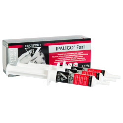 Equistro Ipaligo Puledro