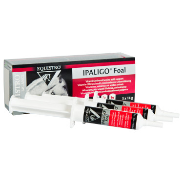 Equistro Ipaligo Puledro