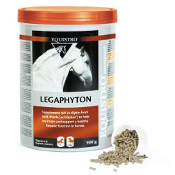EQUISTRO LEGAPHYTON EQUISTRO LEGAPHYTON