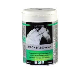 Equistro Mega base Junior