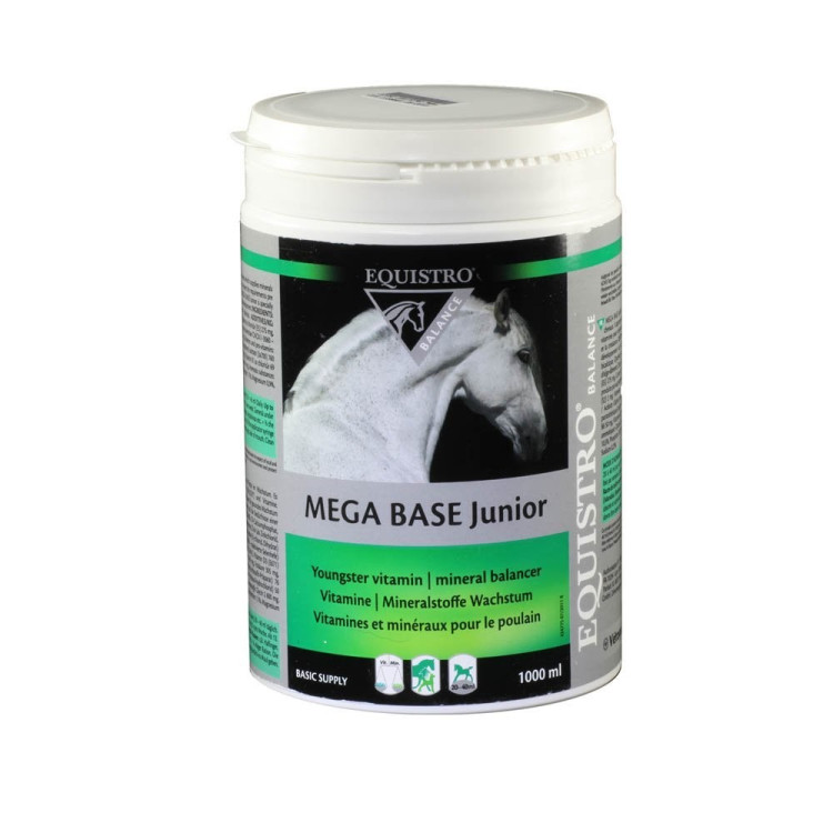 Equistro Mega base Junior