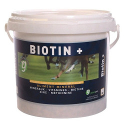BIOTIN BIOTIN