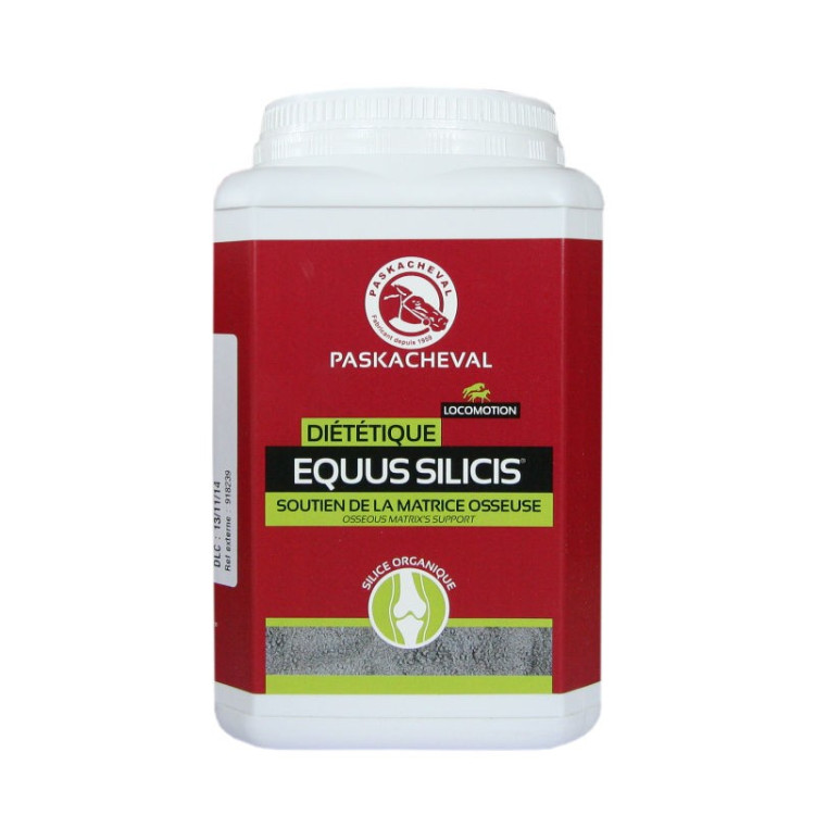 Equus Silicis Paskacheval Equus Silicis Paskacheval