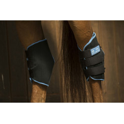 Protector de corvejones LAMI-CELL “Ice Boots” Negro / azúl Protector de corvejones LAMI-CELL “Ice Boots” Negro / azúl