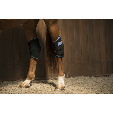 Protector de corvejones LAMI-CELL “Ice Boots” Protector de corvejones LAMI-CELL “Ice Boots”