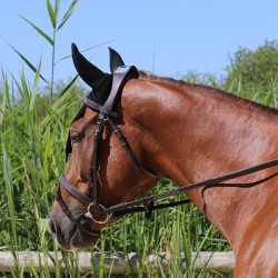 Brida Puente Manet T de T Havana oscuro Marrón