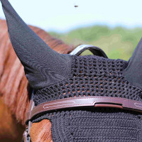 Brida Puente Manet T de T Havana oscuro Marrón