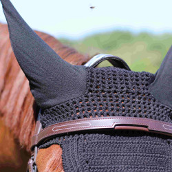 Brida Puente Manet T de T Havana oscuro Marrón