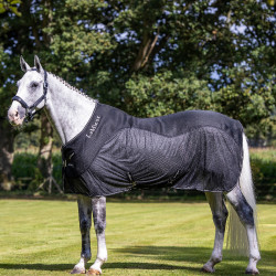 Manta hielera deportiva de malla LeMieux Negro