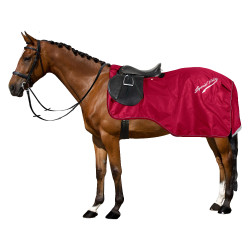 Almohadilla Riñón Imperial Equitación Super-seca 0gr