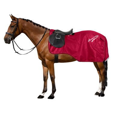 Almohadilla Riñón Imperial Equitación Super-seca 0gr