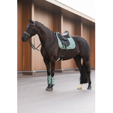 Botas de doma Imperial Riding Lovely Verde Salvia Azul